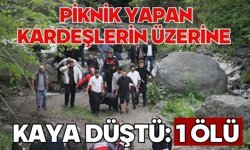 Piknik yapan kardeşlerin üzerine kaya düştü: 1 ölü