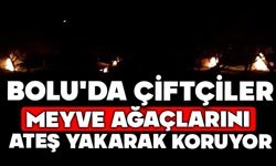 Bolu'da çiftçiler meyve ağaçlarını ateş yakarak koruyor