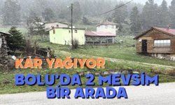 Bolu'da aynı anda 2 mevsim