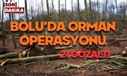 Bolu'da orman operasyonu, çok sayıda gözaltı
