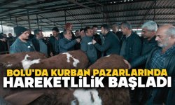 Bolu'da kurban pazarlarında hareketlilik başladı