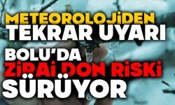 Bolu’da Zirai Don Riski Sürüyor