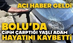 D-100'de cipin çarptığı yaşlı adam hayatını kaybetti