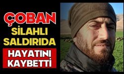 Çoban silahlı saldırıda hayatını kaybetti