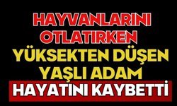 Hayvanlarını otlatırken yüksekten düşen yaşlı adam hayatını kaybetti