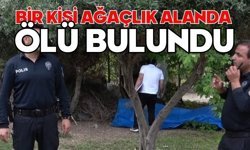 Bir kişi ağaçlık alanda ölü bulundu