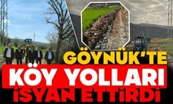 Göynük'te köy yolları isyan ettirdi