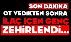 Ot yedikten sonra ilaç içen genç zehirlendi