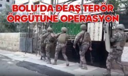 Bolu'da DEAŞ terör örgütüne operasyon