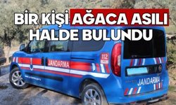 Bir kişi ağaca asılı halde bulundu
