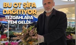 Bu ot şifa dağıtıyor, tezgahlara geldi