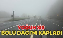 Yoğun sis Bolu Dağı'nı kapladı