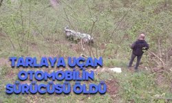 Tarlaya uçan otomobilin sürücüsü hayatını kaybetti