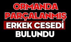Ormanda parçalanmış erkek cesedi bulundu