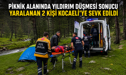 Piknik alanında yıldırım düşmesi sonucu yaralanan 2 kişi Kocaeli'ye sevk edildi