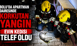 Bolu’da apartman dairesinde korkutan yangın: Evin kedisi telef oldu