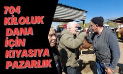 704 KİLOLUK DANA İÇİN KIYASIYA PAZARLIK