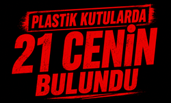 Plastik kutularda 21 cenin bulundu