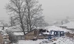Eskişehir’in kırsalı mayıs ayında beyaza büründü