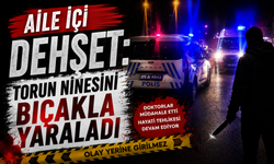Aile içi dehşet: Torun ninesini bıçakla yaraladı