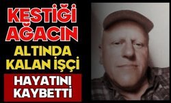 Kestiği ağacın altında kalan işçi hayatını kaybetti