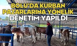 Bolu'da kurban pazarlarına yönelik denetim yapıldı