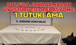 Bolu'da jandarmadan uyuşturucu operasyonu: 1 tutuklama