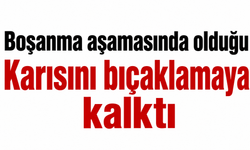 Karısını bıçaklamaya kalktı