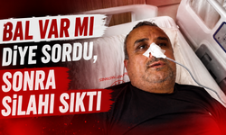 "Bal var mı diye sordu, sonra silahı sıktı"
