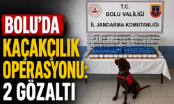 Bolu’da kaçakçılık operasyonu: 2 gözaltı