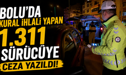 Bolu'da kural ihlali yapan bin 311 sürücüye ceza