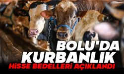 Bolu'da kurbanlık hisse bedelleri açıklandı