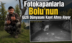 Bolulu Doğaseverden Yaban Hayatına Yakın Takip