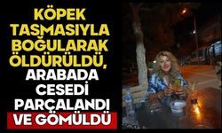 Köpek tasmasıyla boğularak öldürüldü, arabada cesedi parçalandı ve gömüldü
