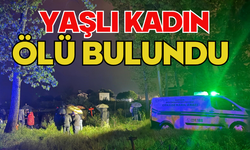 Yaşlı kadın ölü bulundu