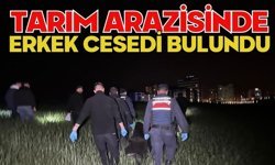 Tarım arazisinde erkek cesedi bulundu
