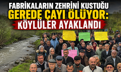 Fabrikaların zehrini kustuğu Gerede Çayı ölüyor: Köylüler ayaklandı