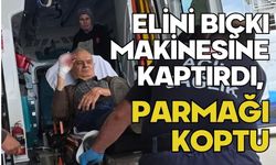 Elini bıçkı makinesine kaptırdı, parmağı koptu