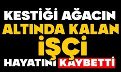 Kestiği ağacın altında kalan işçi hayatını kaybetti