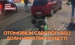 Otomobilin çarptığı yaşlı adam hayatını kaybetti