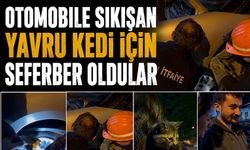 Otomobile Sıkışan Yavru Kedi İçin Seferber Oldular