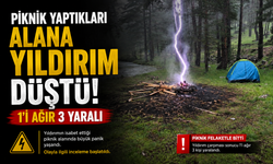 Piknik yaptıkları alana yıldırım düştü: 1'i ağır 3 yaralı