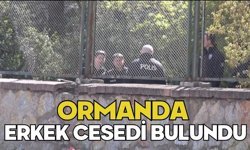 Ormanda erkek cesedi bulundu