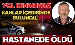 Yol kenarında kanlar içerisinde bulundu, hastanede öldü