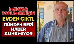 Mantar toplamak için evden çıktı, dünden beri haber alınamıyor