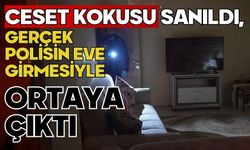 Ceset kokusu sanıldı, gerçek polisin eve girmesiyle ortaya çıktı