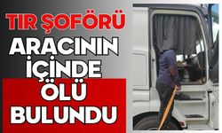 Tır şoförü aracının içinde ölü bulundu