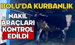 Bolu'da kurbanlık nakil araçları kontrol edildi