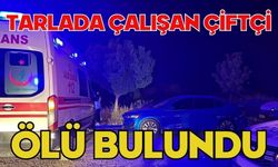 Tarlada çalışan çiftçi ölü bulundu