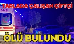 Tarlada çalışan çiftçi ölü bulundu